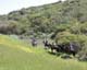 Santa Barbara 2003